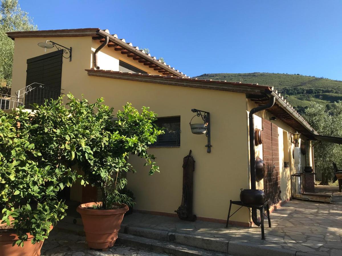 Agriturismo Campo Dei Lupi Vicopisano Exterior foto