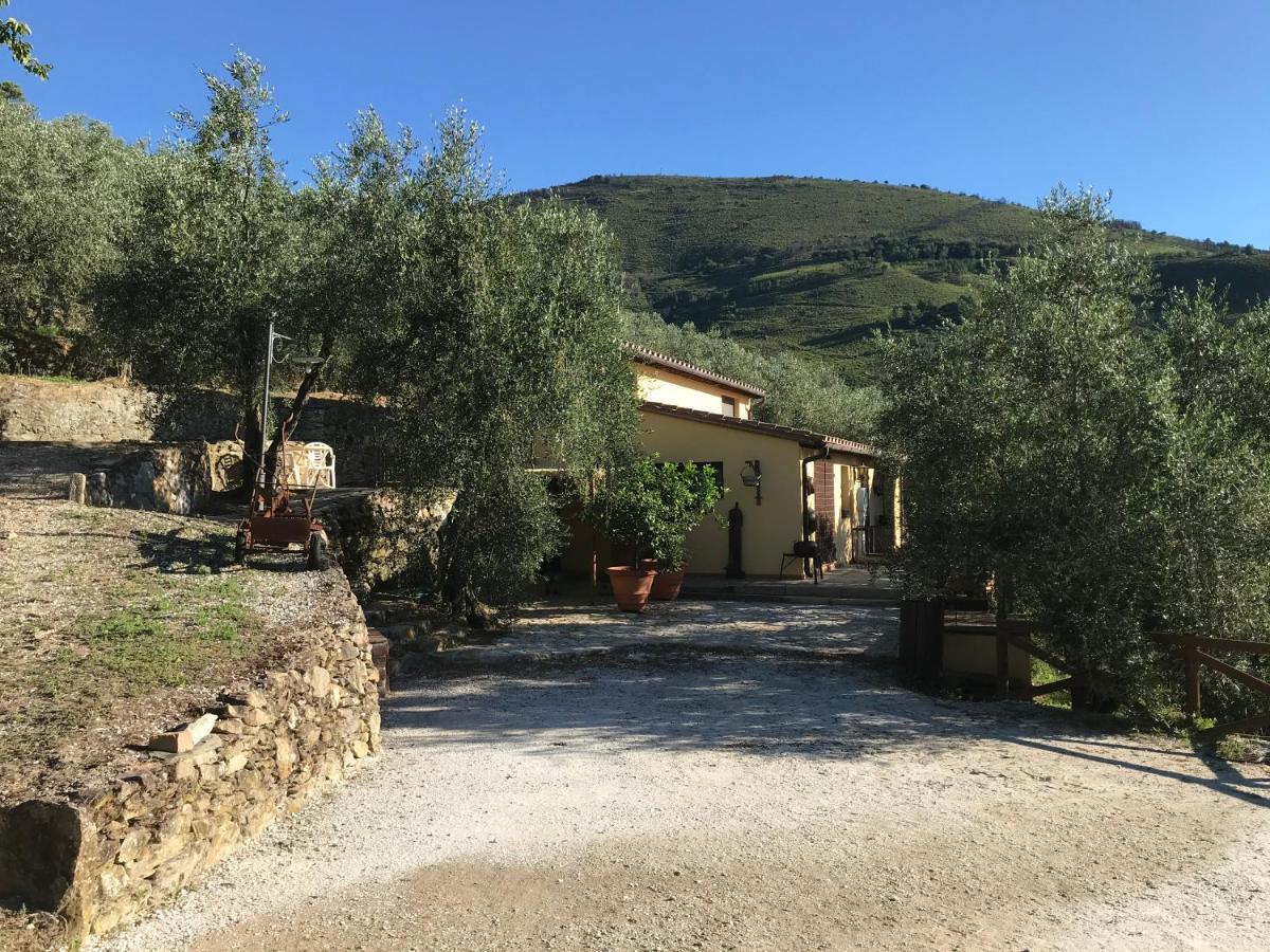 Agriturismo Campo Dei Lupi Vicopisano Exterior foto