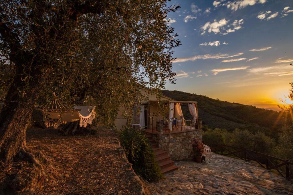 Agriturismo Campo Dei Lupi Vicopisano Exterior foto