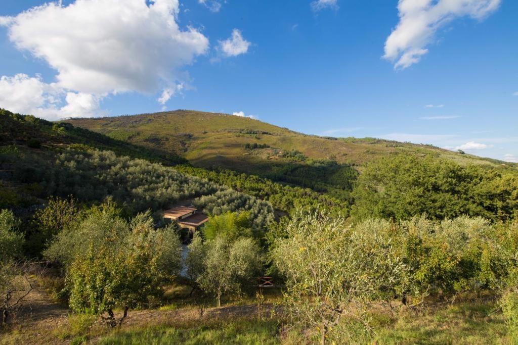 Agriturismo Campo Dei Lupi Vicopisano Exterior foto
