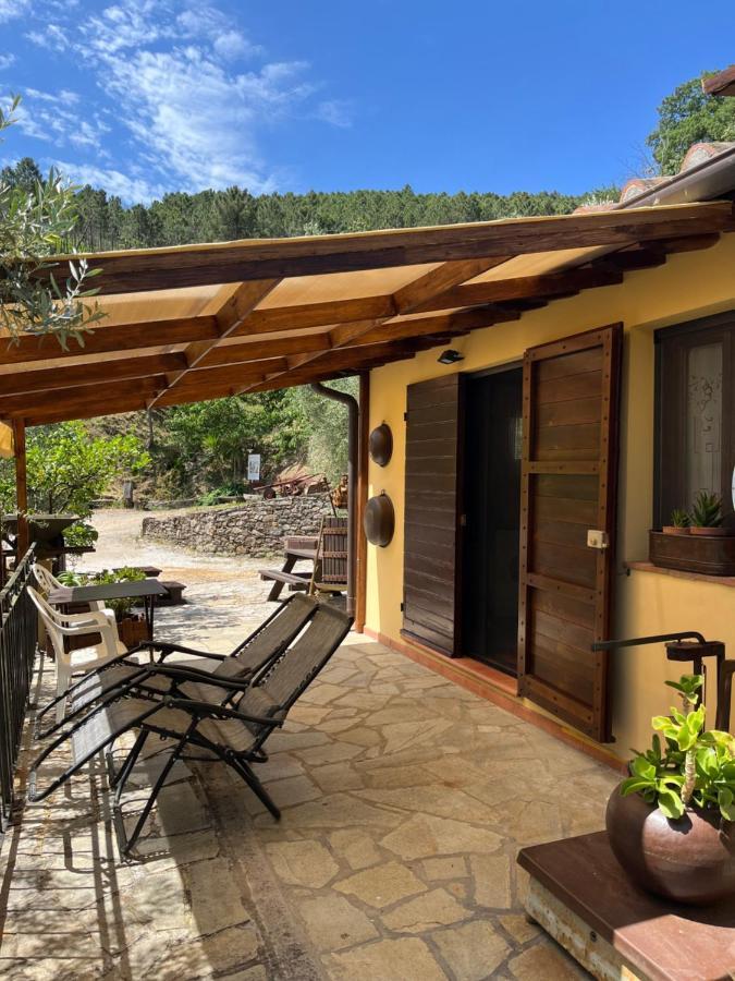 Agriturismo Campo Dei Lupi Vicopisano Exterior foto