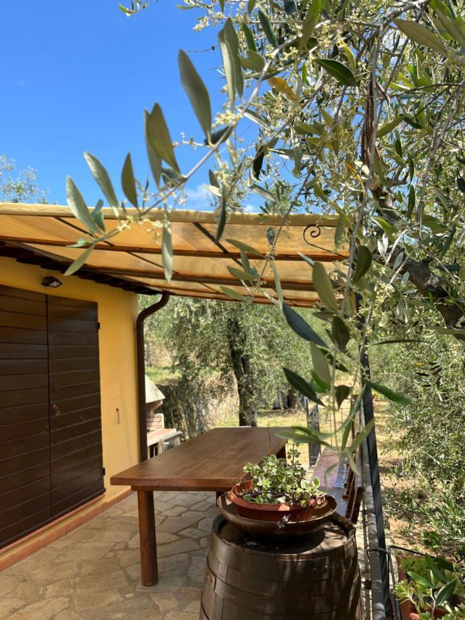 Agriturismo Campo Dei Lupi Vicopisano Exterior foto