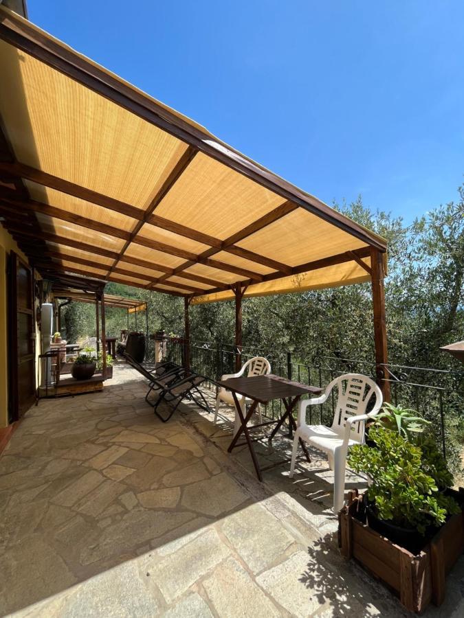 Agriturismo Campo Dei Lupi Vicopisano Exterior foto