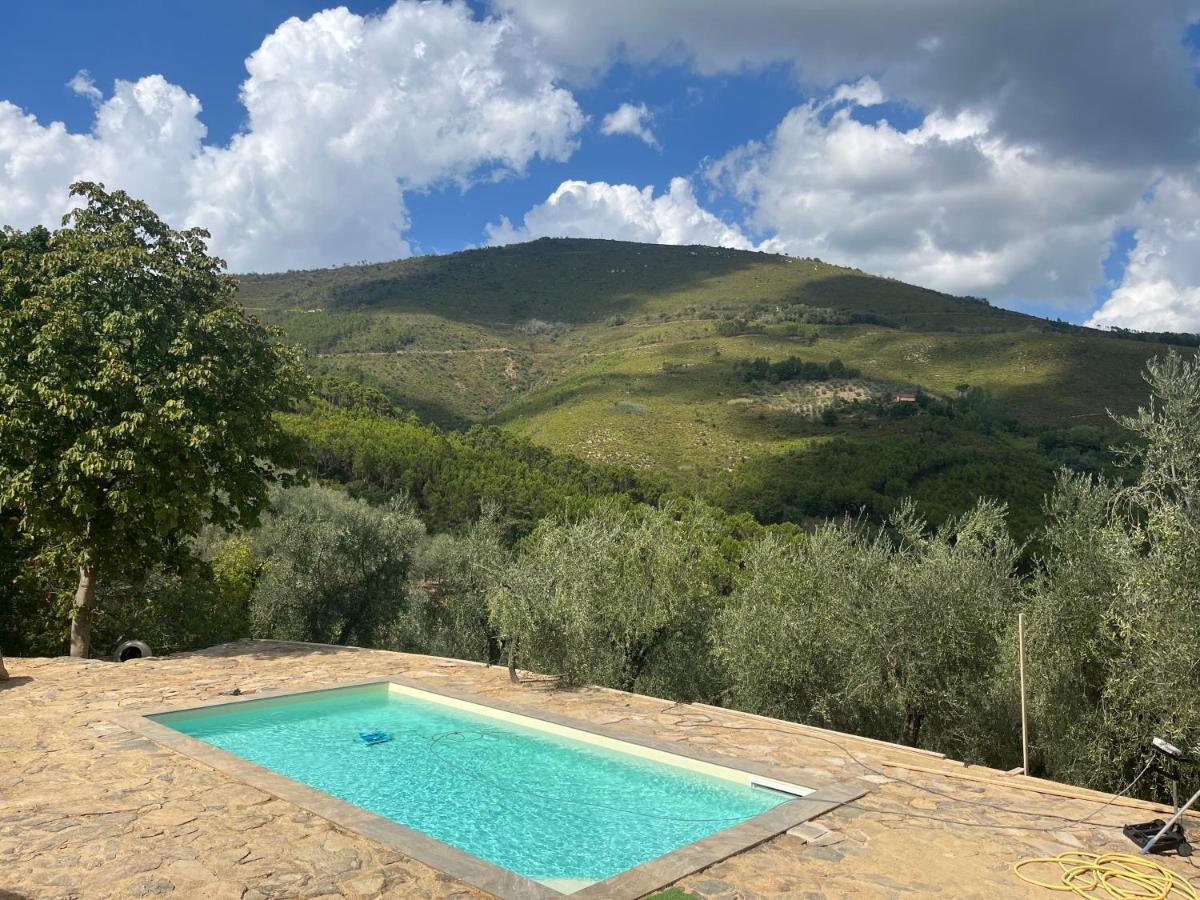 Agriturismo Campo Dei Lupi Vicopisano Exterior foto