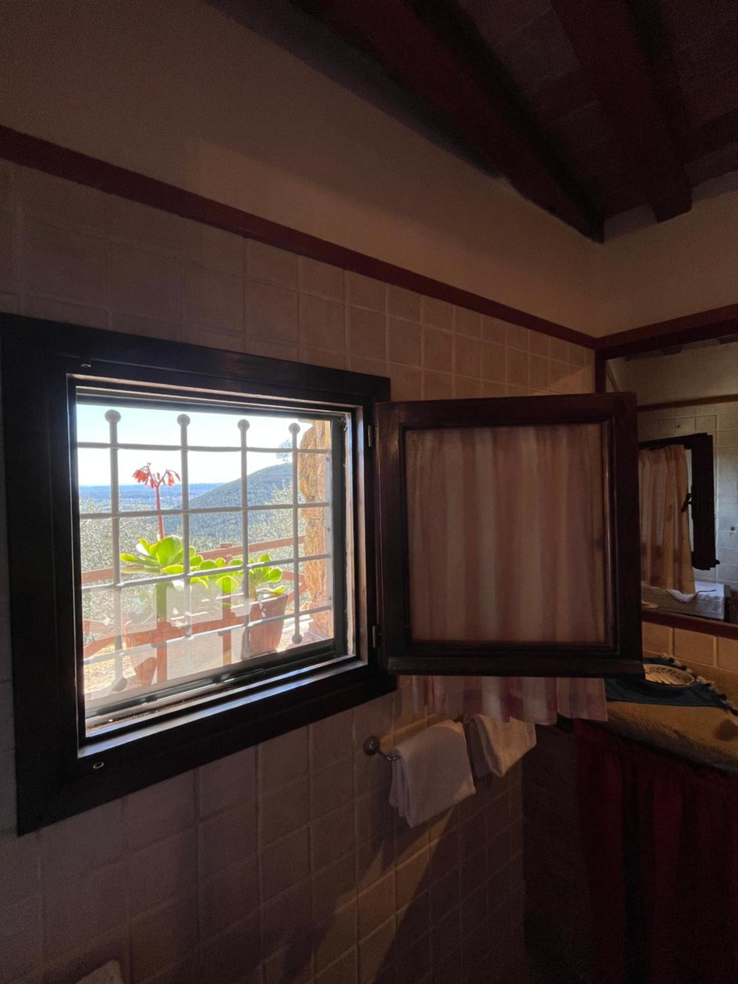 Agriturismo Campo Dei Lupi Vicopisano Quarto foto