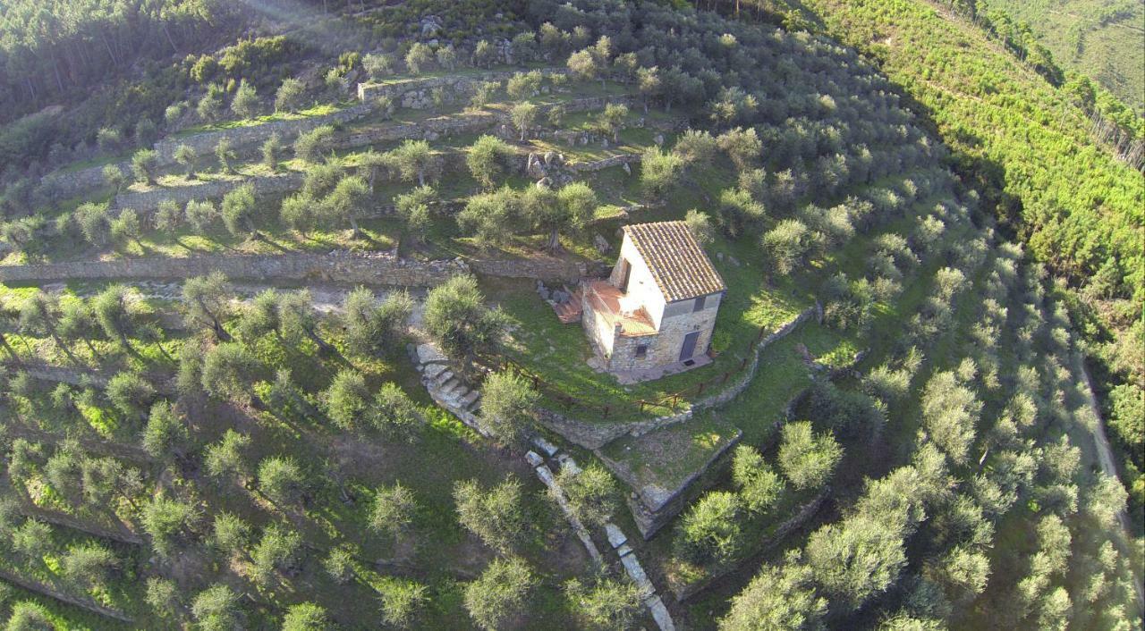 Agriturismo Campo Dei Lupi Vicopisano Exterior foto