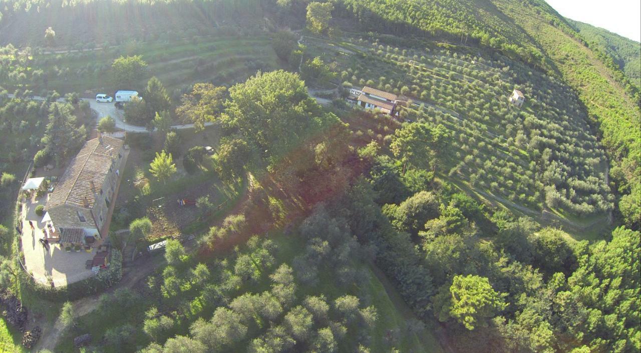 Agriturismo Campo Dei Lupi Vicopisano Exterior foto